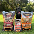 Black Labrador with three bags of VICTOR dog food featuring Raw Blend beef and chicken recipes on grass with trees