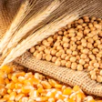 Soybean Wheat And Corn