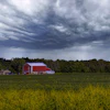 6151189 Barn 2690017