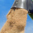 Couleur Wheat 1508654 1920