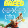 Purina Emmys Adb