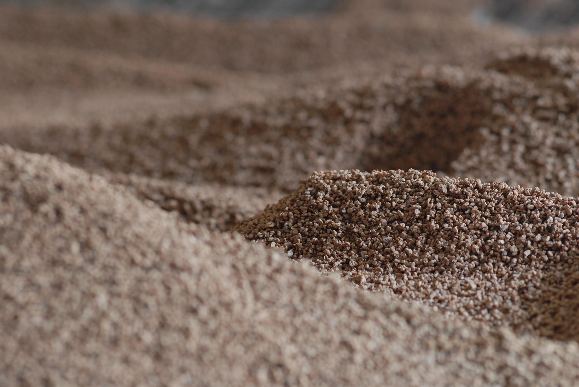 Rizox Biomass 440392 1920