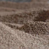 Rizox Biomass 440392 1920
