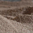 Rizox Biomass 440392 1920