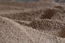 Rizox Biomass 440392 1920