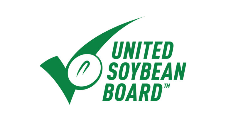 Usb Logo