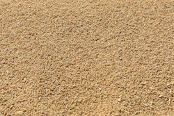 Wheat Post Harvest Pile Rajatsakhiya Pixabay