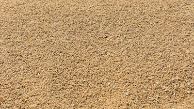 Wheat Post Harvest Pile Rajatsakhiya Pixabay