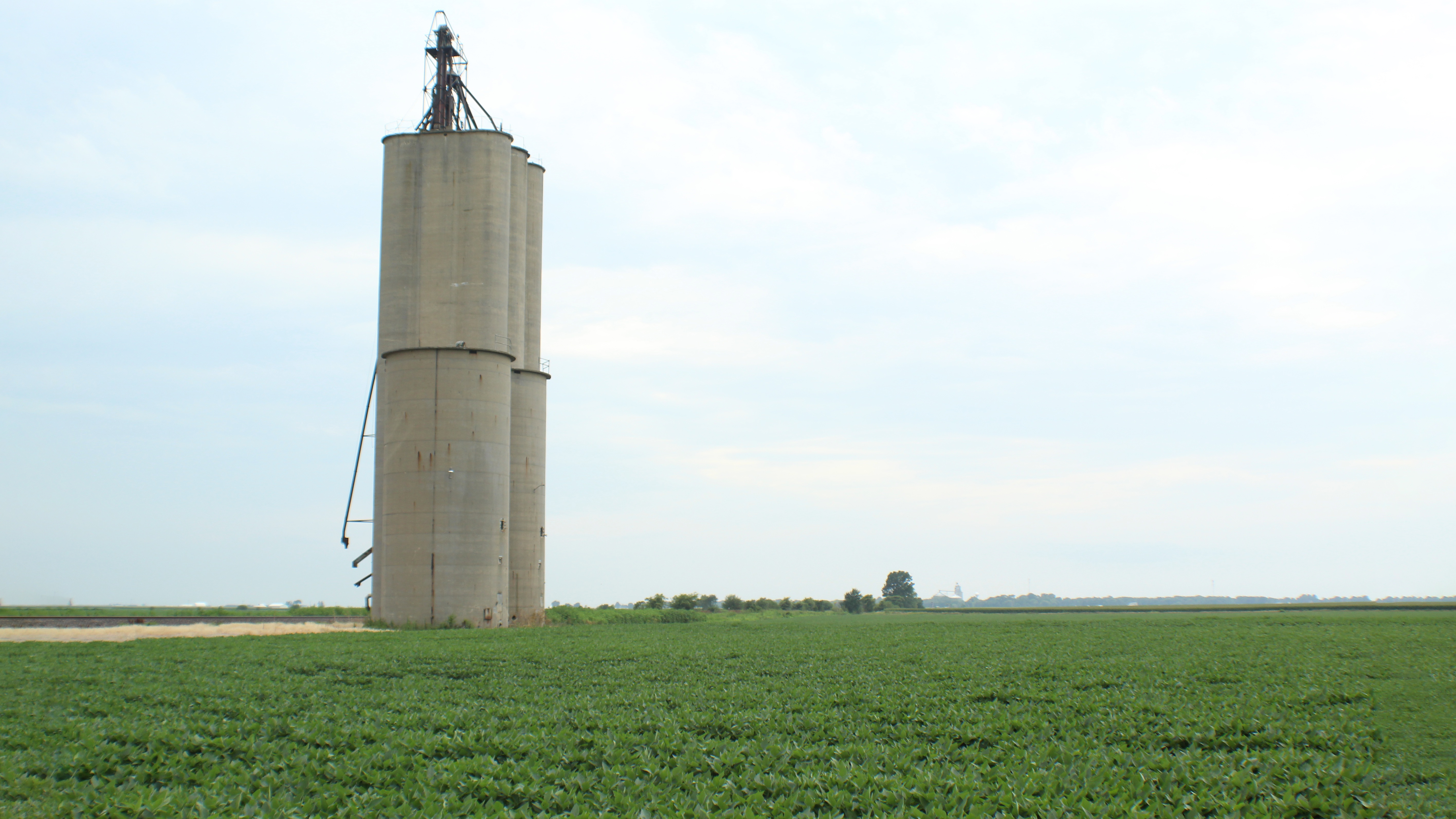 Young Soybeans Under Old Farm Silo Zachary Keagle Pixabay