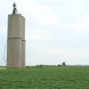 Young Soybeans Under Old Farm Silo Zachary Keagle Pixabay