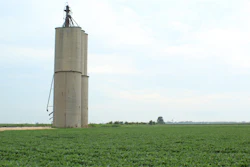 Young Soybeans Under Old Farm Silo Zachary Keagle Pixabay