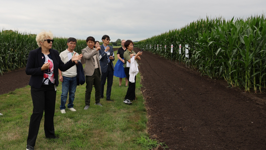 A team of South Korean biotechnology safety reviewers recently traveled to the U.S. to meet industry leaders and learn about the regulatory frameworks of U.S. gene-editing technologies.