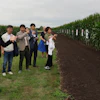 A team of South Korean biotechnology safety reviewers recently traveled to the U.S. to meet industry leaders and learn about the regulatory frameworks of U.S. gene-editing technologies.