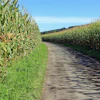 Antranias Economic Route 453902 1920