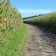 Antranias Economic Route 453902 1920