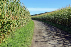 Antranias Economic Route 453902 1920