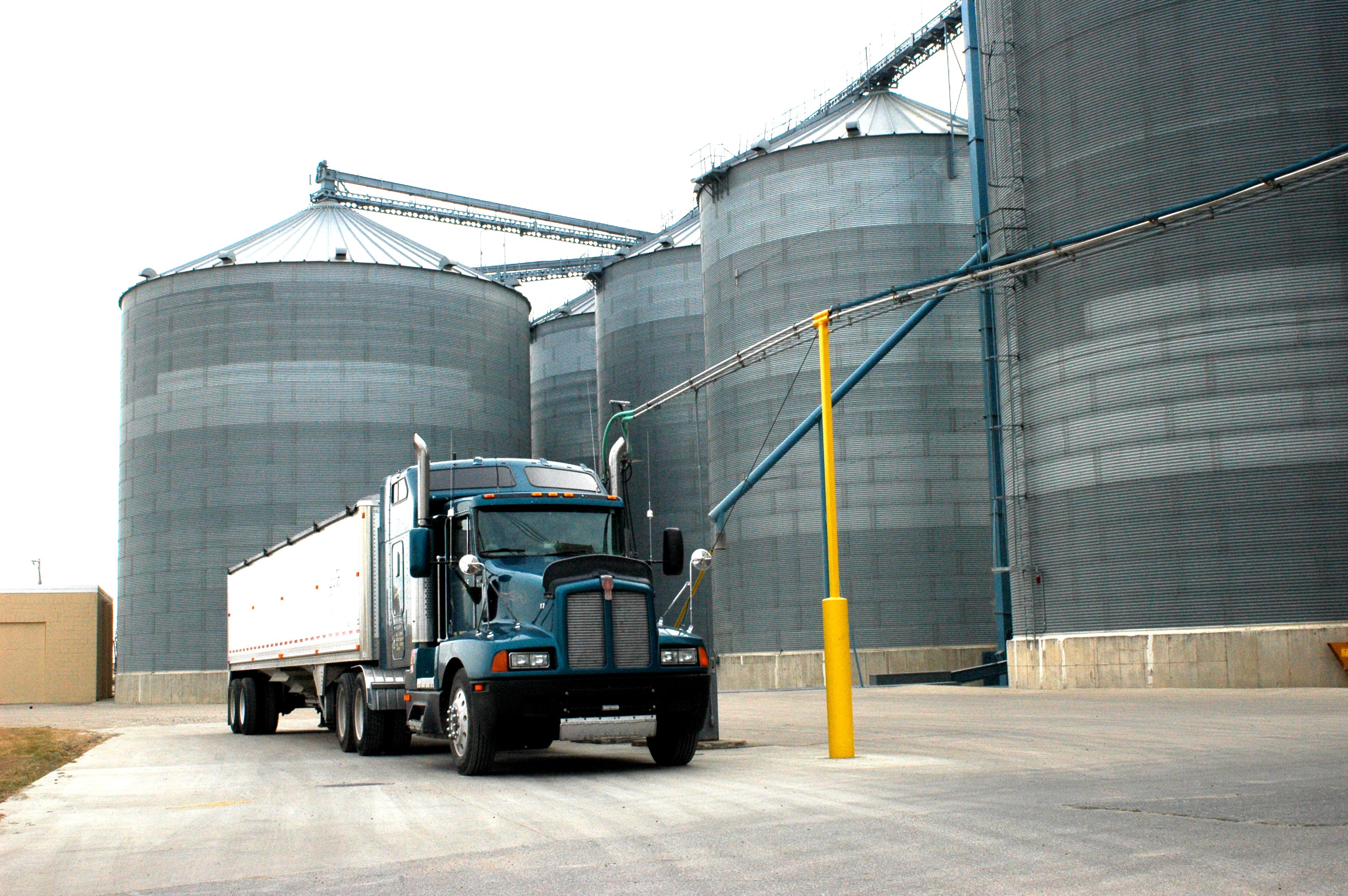 Bigstock Hauling Grain 53588
