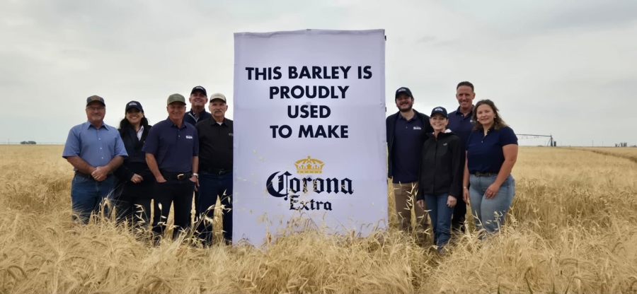Constellation Plans $100 M Barley Investment