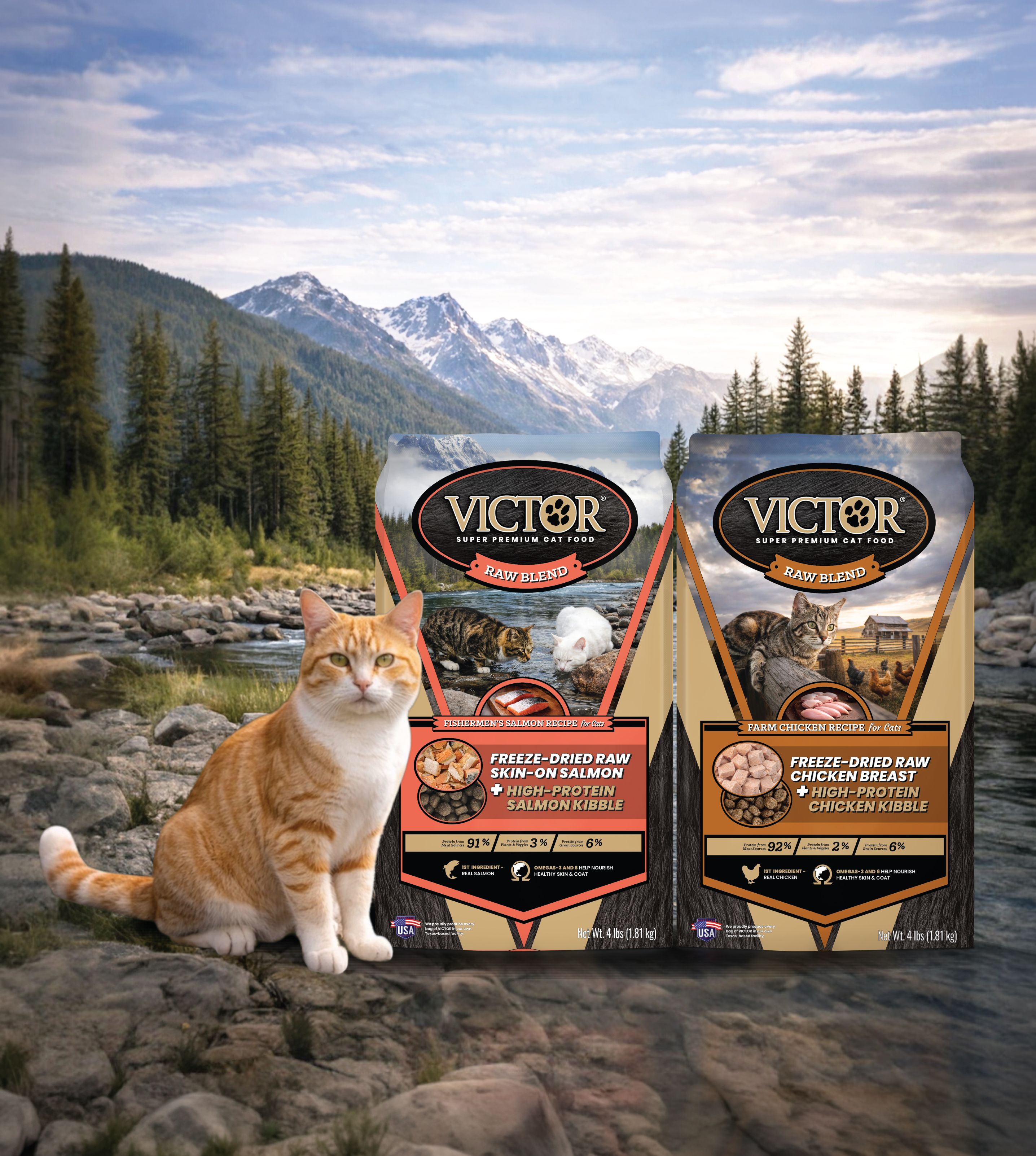 Orange and white cat sitting by mountain lake with two VICTOR Super Premium Raw cat food packages featuring salmon and chicken recipes