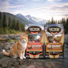 Orange and white cat sitting by mountain lake with two VICTOR Super Premium Raw cat food packages featuring salmon and chicken recipes