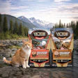 Orange and white cat sitting by mountain lake with two VICTOR Super Premium Raw cat food packages featuring salmon and chicken recipes