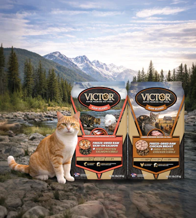 Orange and white cat sitting by mountain lake with two VICTOR Super Premium Raw cat food packages featuring salmon and chicken recipes