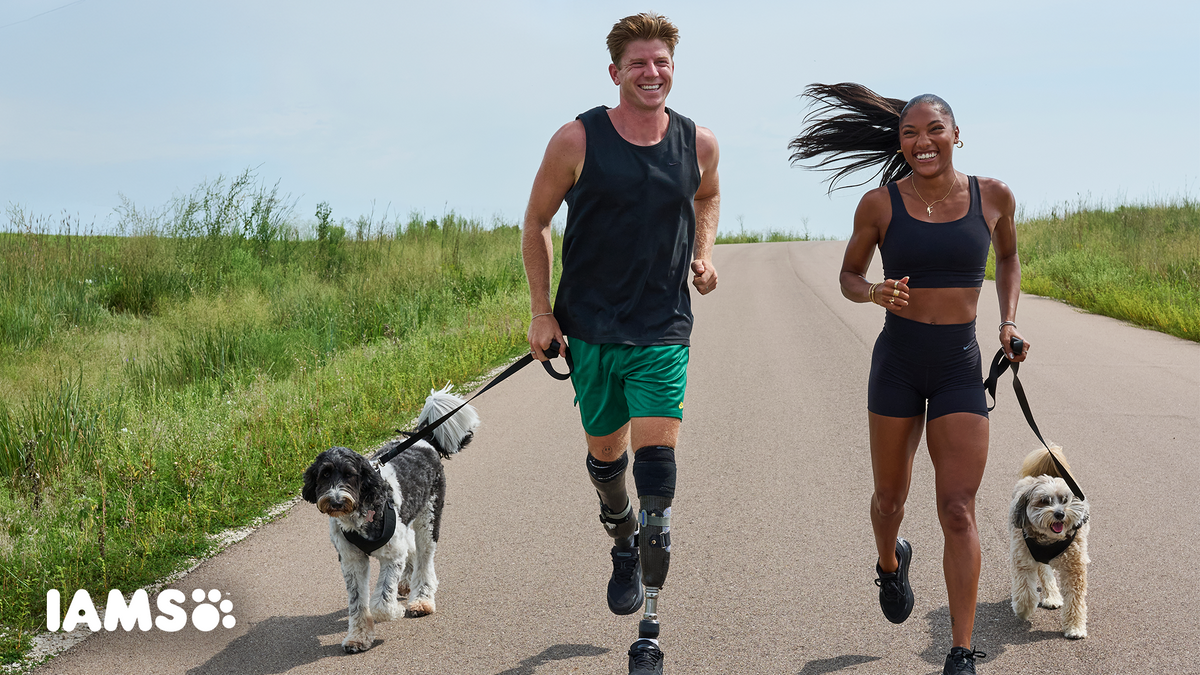 Two runners jogging with dogs on a paved path surrounded by green fields