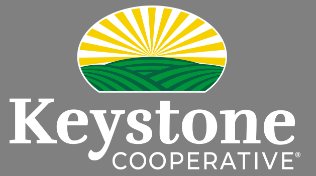 Keystone Logo White Registered Mark