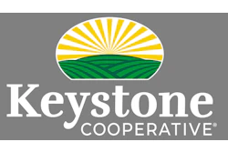 Keystone Logo White Registered Mark