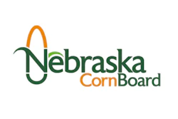 Ncb Logo