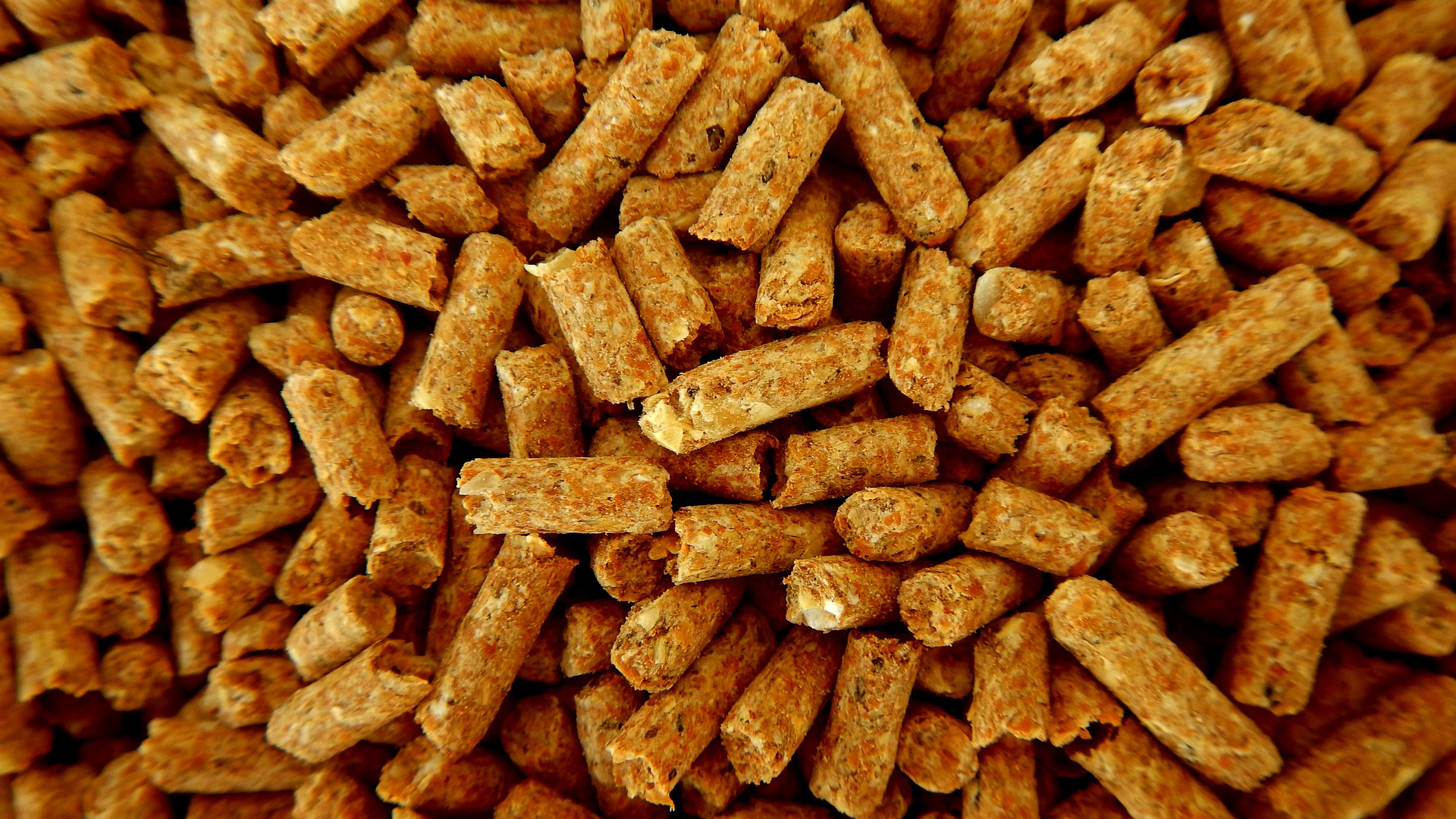 Pellet Feed Pile Lernestorod Pixabay