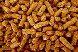 Pellet Feed Pile Lernestorod Pixabay