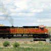 Rauschenberger Transport 3206821 1920