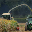 Anaterate Corn Harvest 5604152 1920