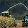 Anaterate Corn Harvest 5604152 1920