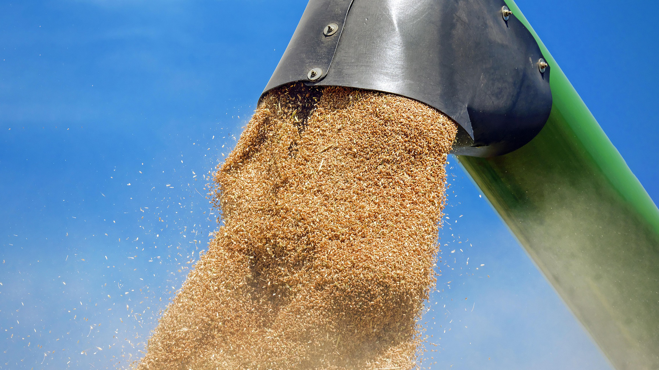 Couleur Wheat 1508654 1920