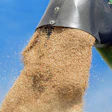 Couleur Wheat 1508654 1920