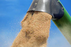 Couleur Wheat 1508654 1920