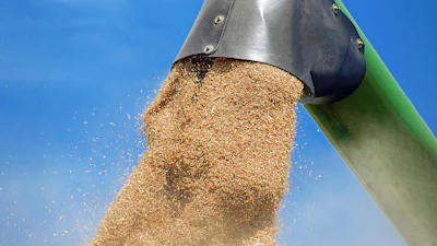 Couleur Wheat 1508654 1920