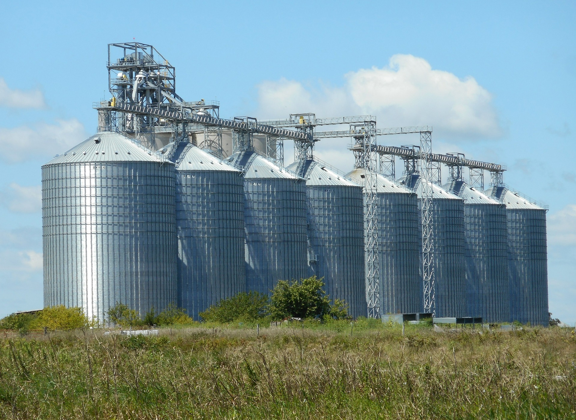 Large agricultural grain silos with conveyor systems in a rural field under blue sky