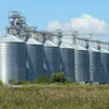 Large agricultural grain silos with conveyor systems in a rural field under blue sky