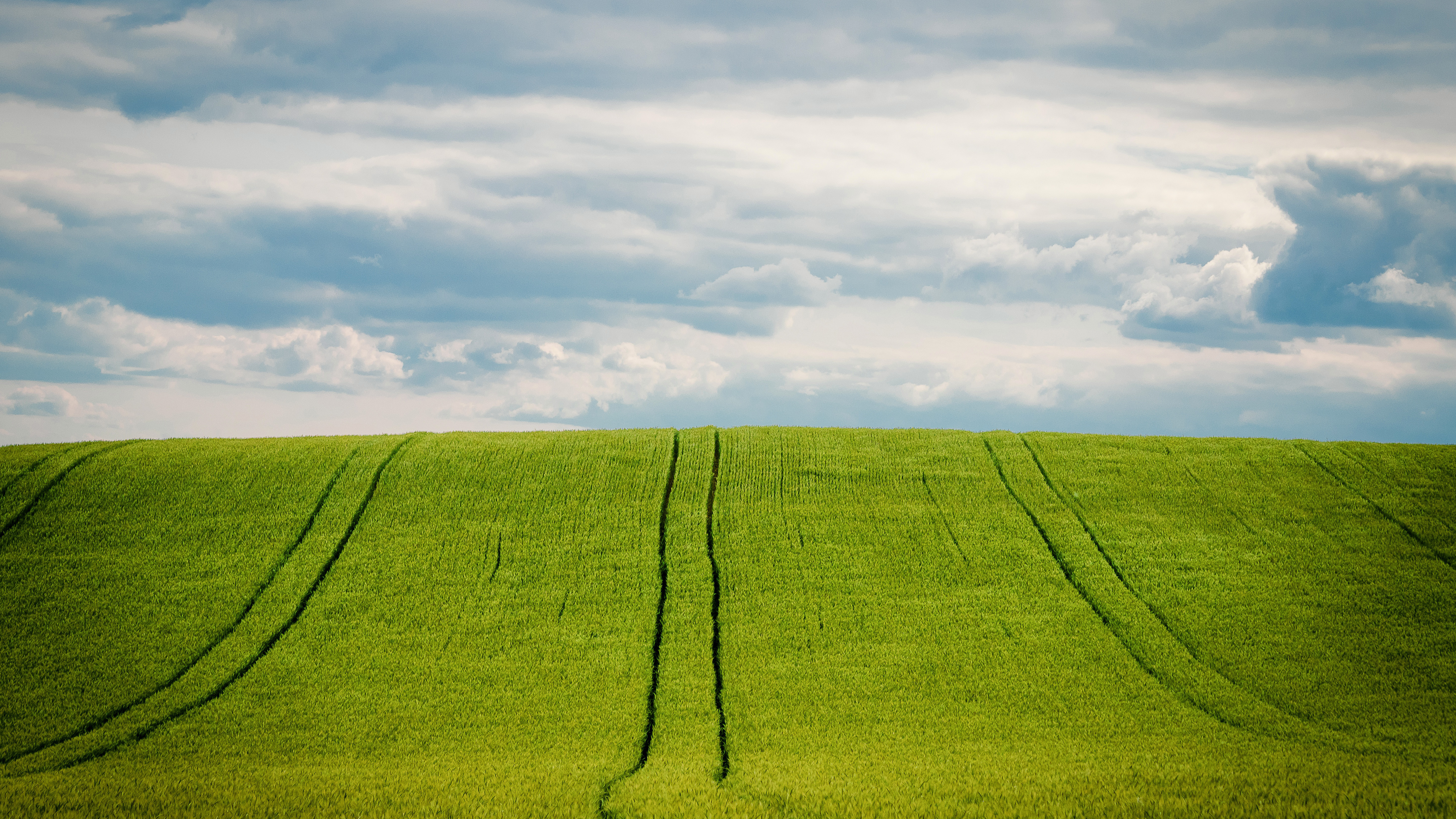 Lush green agricultural field with tractor tracks under a dramatic cloudy sky