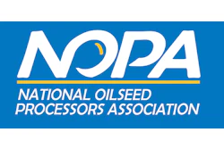 Nopa Logo