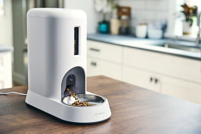 White automatic pet feeder with black bowl dispensing dry kibble on wooden kitchen counter