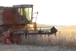 Soybean Harvest Sunset Taylormariecasey13 Pixabay