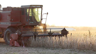 Soybean Harvest Sunset Taylormariecasey13 Pixabay