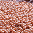 Soybean Pile In Basket Pixabay