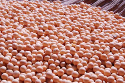 Soybean Pile In Basket Pixabay