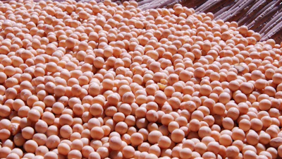 Soybean Pile In Basket Pixabay