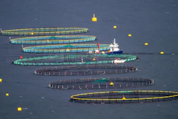 Aerial view of multiple fish farm aquaculture pens with service vessel and yellow buoys in blue water